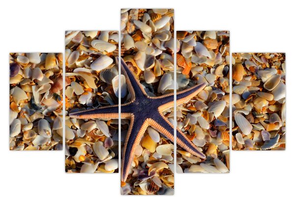 Tablou cu stea de mare (150x105 cm)