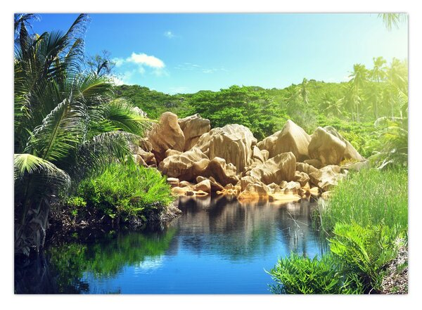 Tablou cu lac în jungla din Seychelles (70x50 cm)