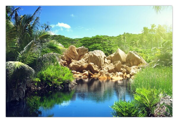 Tablou cu lac în jungla din Seychelles (90x60 cm)