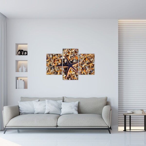 Tablou cu stea de mare (90x60 cm)