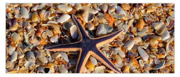 Tablou cu stea de mare (120x50 cm)