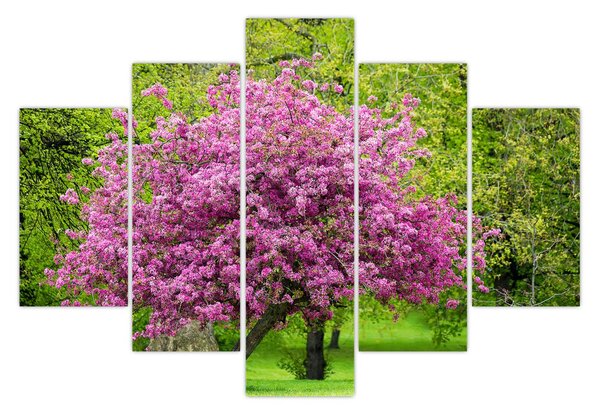 Tablou cu pom înflorit pe luncă (150x105 cm)