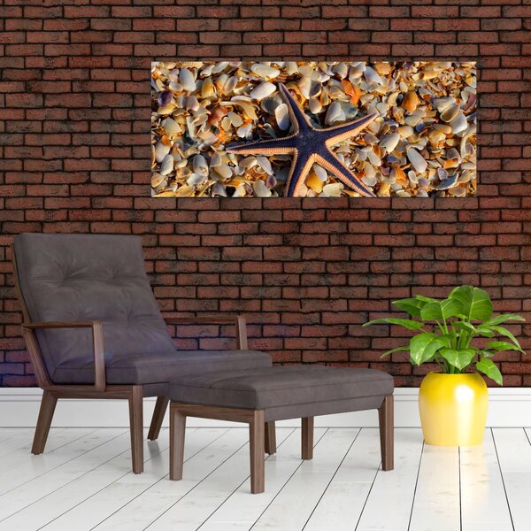Tablou cu stea de mare (120x50 cm)