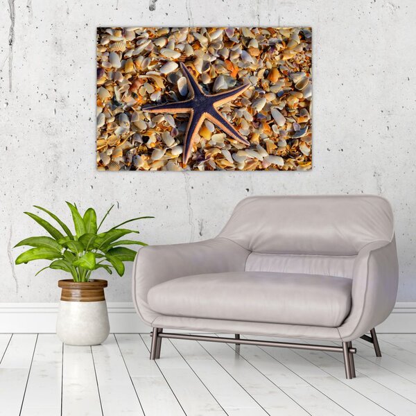 Tablou cu stea de mare (90x60 cm)