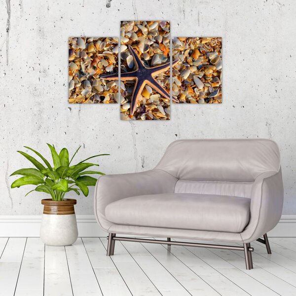 Tablou cu stea de mare (90x60 cm)