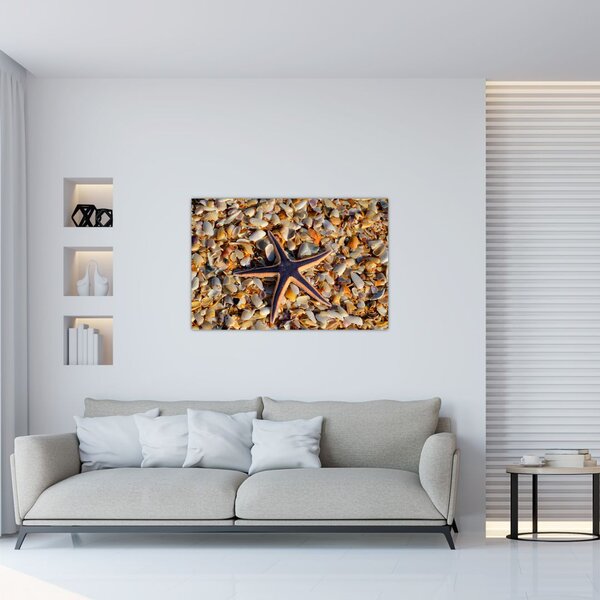 Tablou cu stea de mare (90x60 cm)