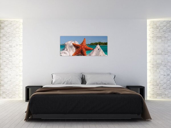 Tablou cu stea de mare (120x50 cm)