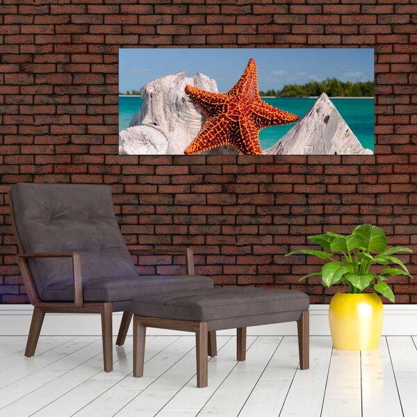 Tablou cu stea de mare (120x50 cm)