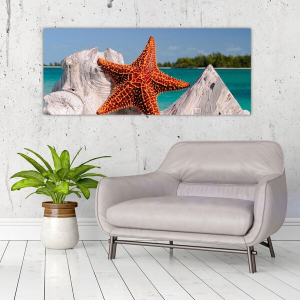 Tablou cu stea de mare (120x50 cm)