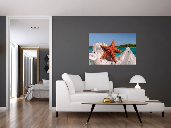 Tablou cu stea de mare (90x60 cm)