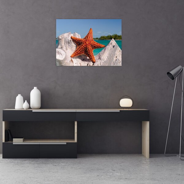Tablou cu stea de mare (70x50 cm)