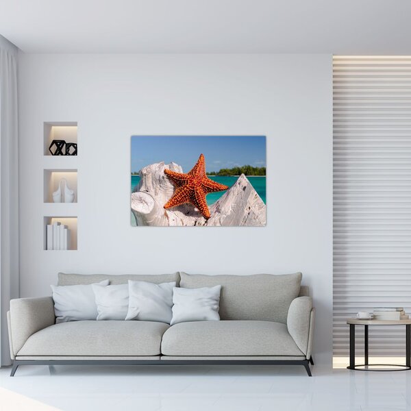 Tablou cu stea de mare (90x60 cm)