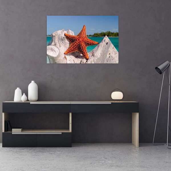 Tablou cu stea de mare (90x60 cm)