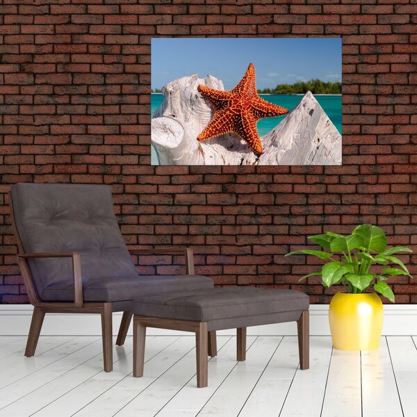 Tablou cu stea de mare (90x60 cm)