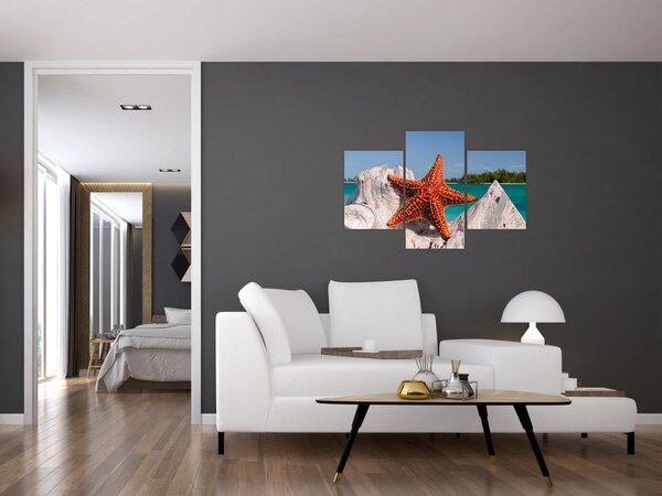 Tablou cu stea de mare (90x60 cm)