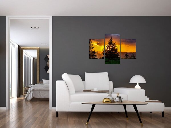 Tablou - coniferi (90x60 cm)