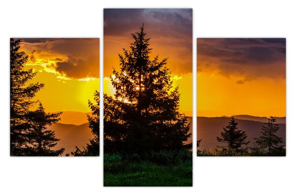 Tablou - coniferi (90x60 cm)