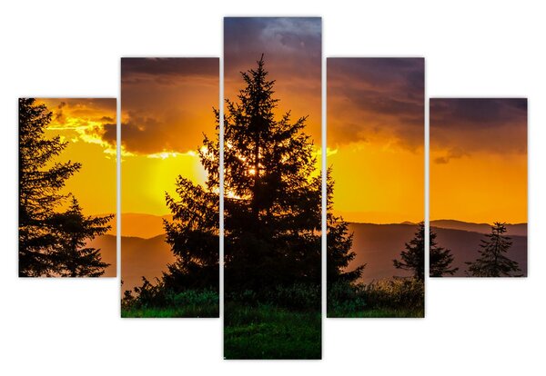 Tablou - coniferi (150x105 cm)
