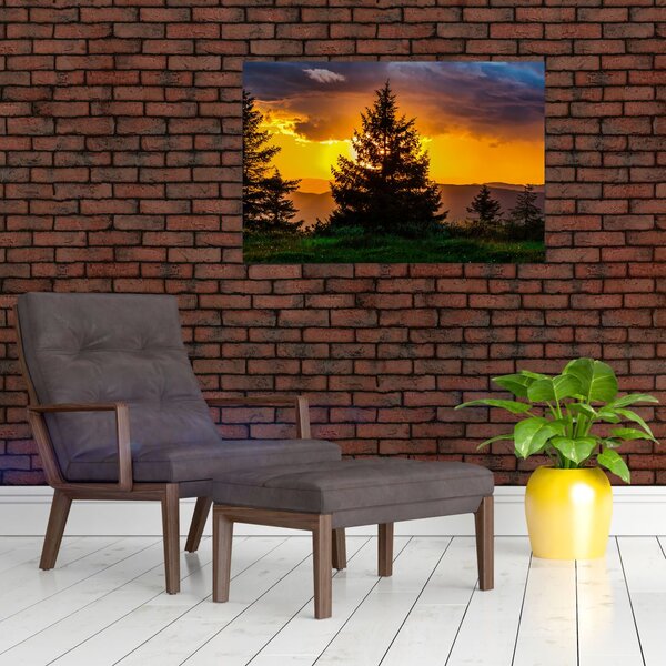 Tablou - coniferi (90x60 cm)