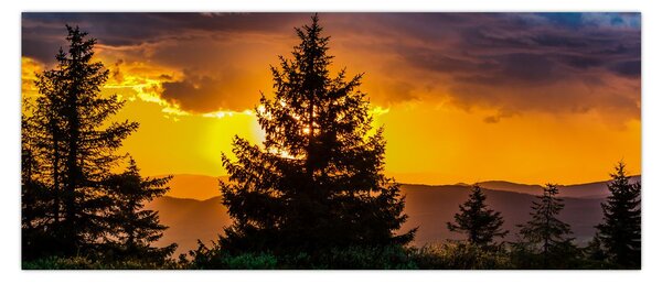 Tablou - coniferi (120x50 cm)