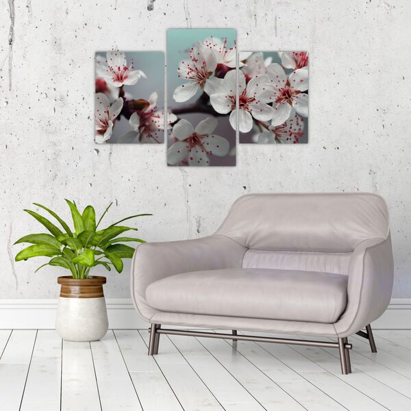 Tablou cu floare - roșie (90x60 cm)