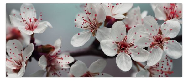 Tablou cu floare - roșie (120x50 cm)