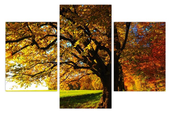 Tablou cu toamna (90x60 cm)