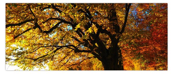 Tablou cu toamna (120x50 cm)