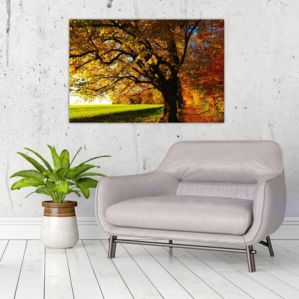 Tablou cu toamna (90x60 cm)