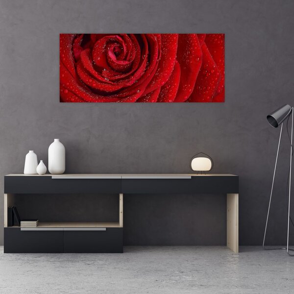 Tablou - detaliu de trandafir (120x50 cm)