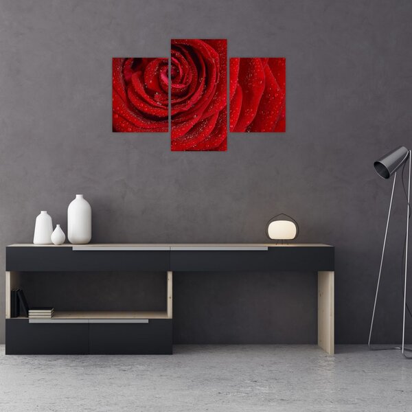 Tablou - detaliu de trandafir (90x60 cm)