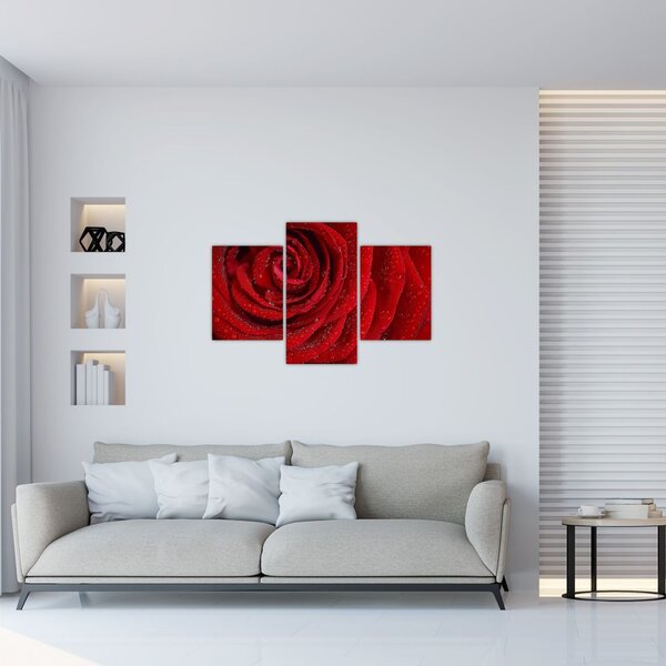 Tablou - detaliu de trandafir (90x60 cm)