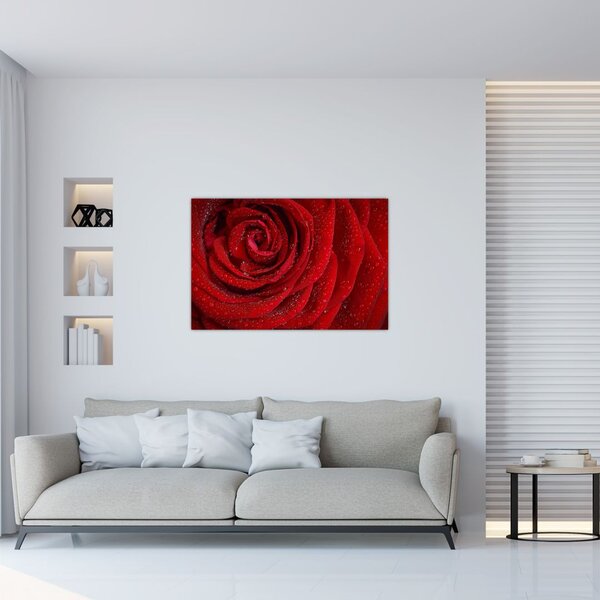 Tablou - detaliu de trandafir (90x60 cm)