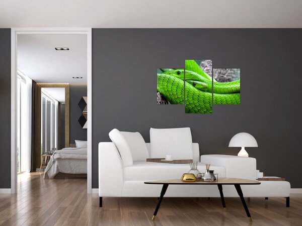 Tablou cu șerpi verzi (90x60 cm)