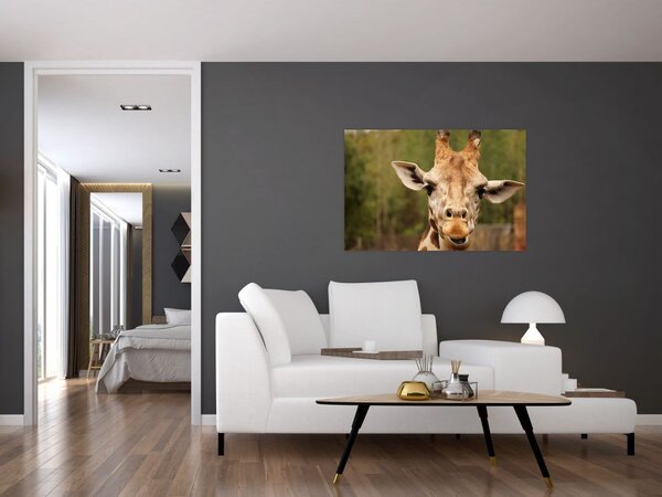 Tablou girafe (90x60 cm)