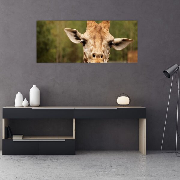 Tablou girafe (120x50 cm)