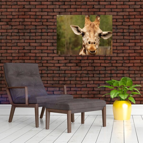 Tablou girafe (70x50 cm)