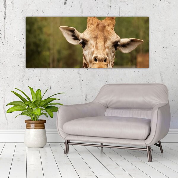 Tablou girafe (120x50 cm)