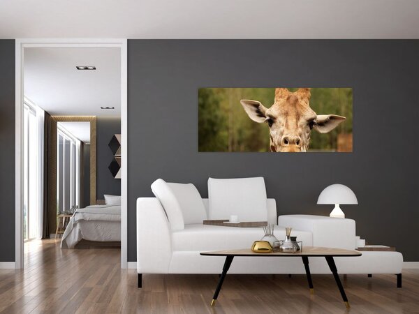 Tablou girafe (120x50 cm)