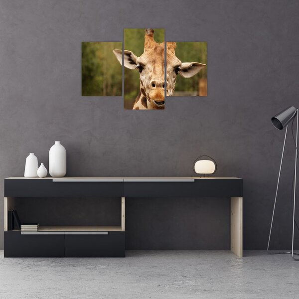 Tablou girafe (90x60 cm)