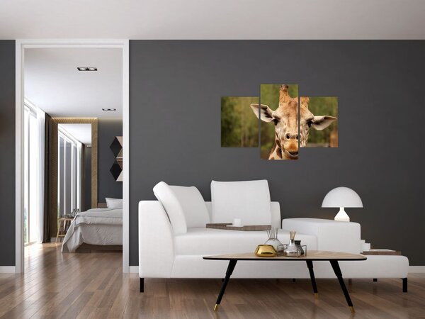 Tablou girafe (90x60 cm)