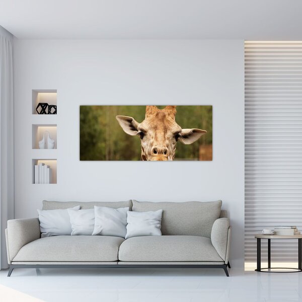 Tablou girafe (120x50 cm)