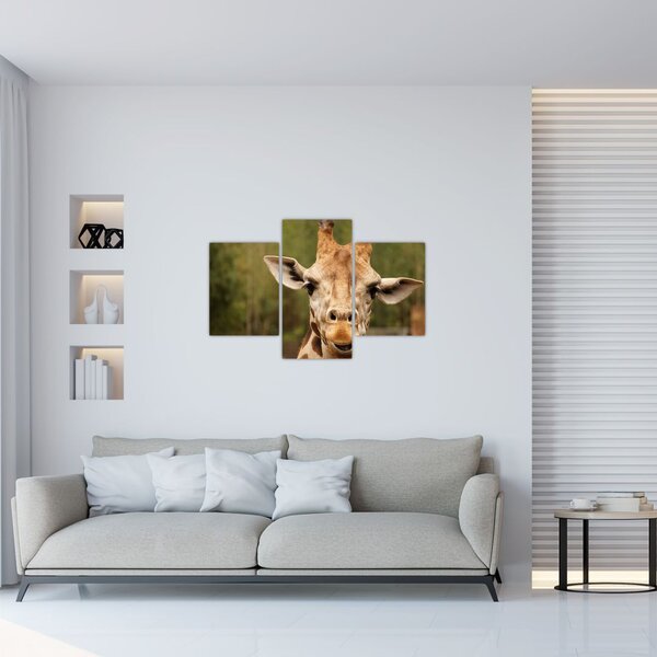 Tablou girafe (90x60 cm)