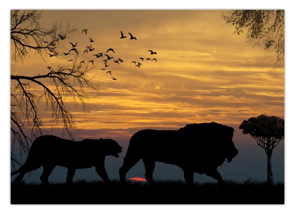Tablou cu Safari (70x50 cm)