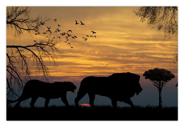 Tablou cu Safari (90x60 cm)
