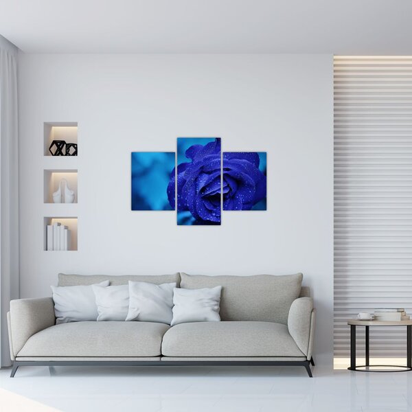 Tablou cu trandafir albastru (90x60 cm)