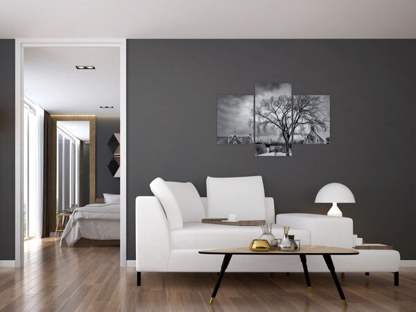 Tablou cu sat alb negru (90x60 cm)