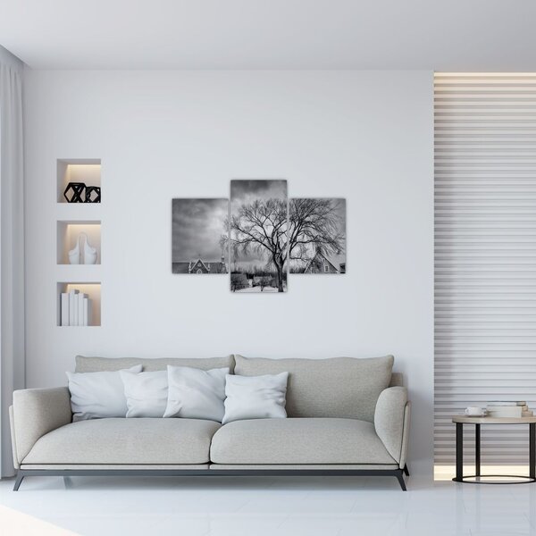 Tablou cu sat alb negru (90x60 cm)