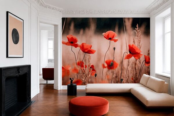 Tapet Maci de un roșu aprins printre ierburile uscate, Fototapet Flori, w05866 : Uwalls.ro