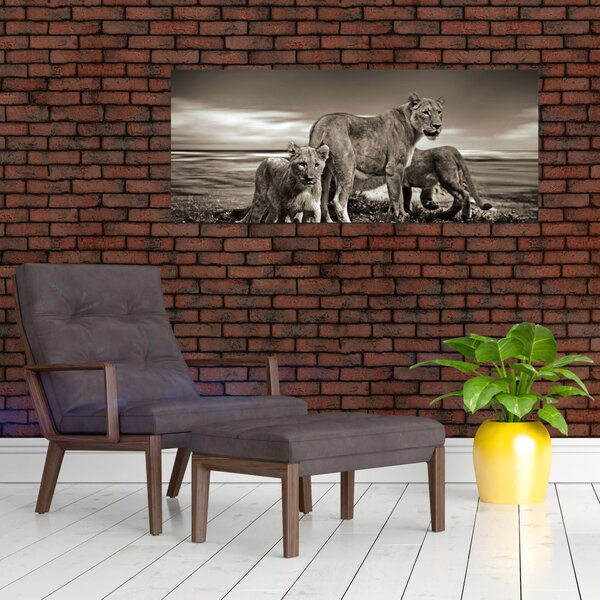Tablou cu leii alb negri (120x50 cm)